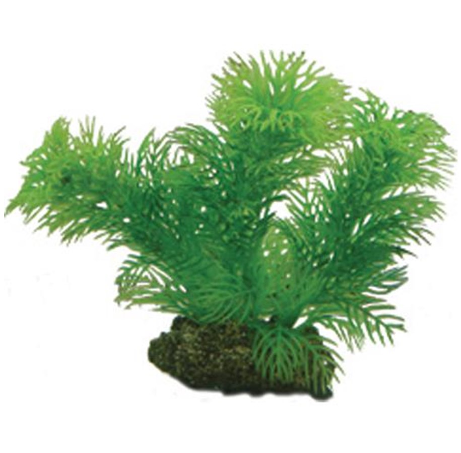 Fische - Dohse Egeria 13 cm - P41510