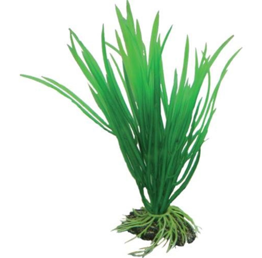 Fische - Dohse Cyperus 16 cm - P41500