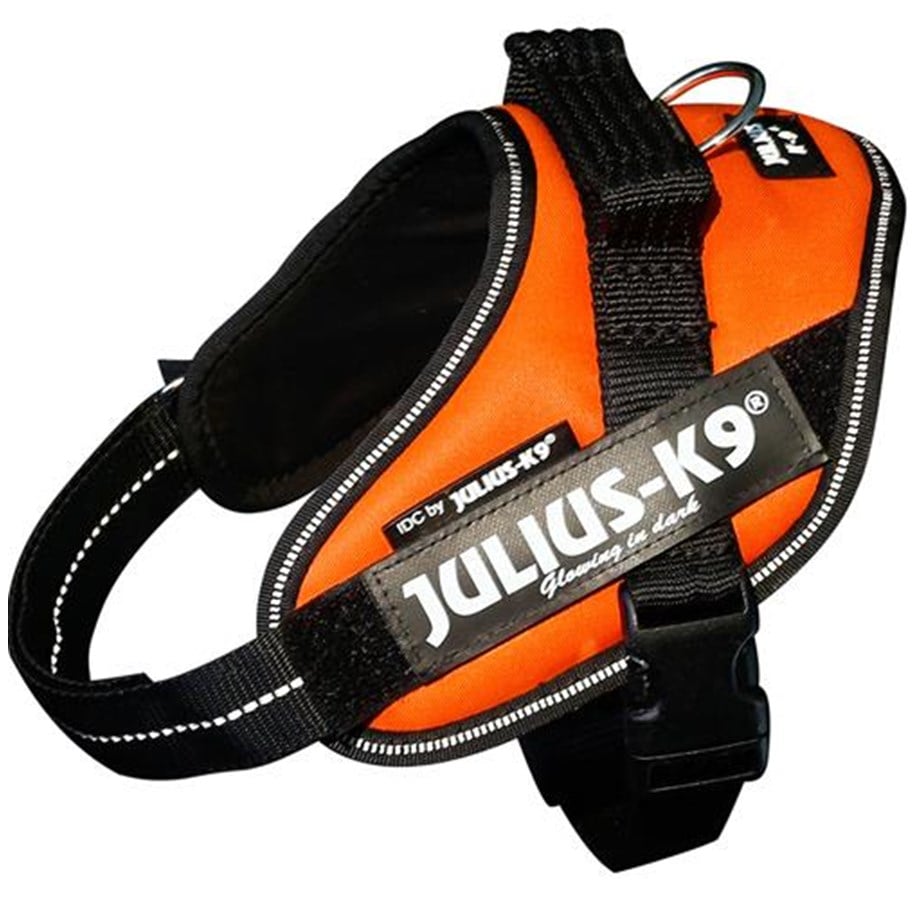 Hunde - Julius-K9 IDC Powerharness UV Orange Mini 49-67cm - H659813
