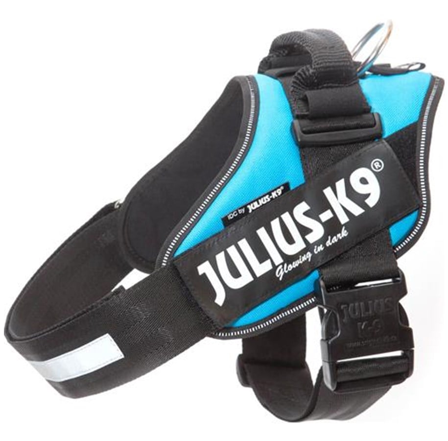 Hunde - Julius-K9 IDC-harness.size  2 Aquamarine - H645557