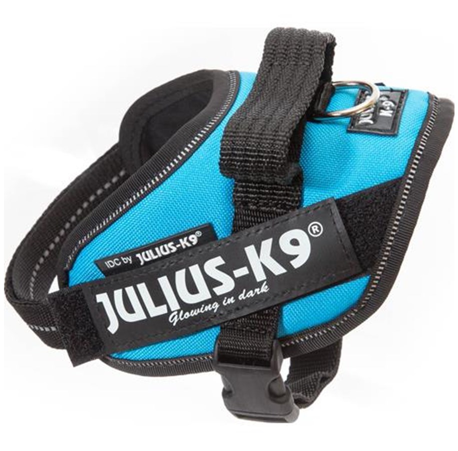 Hunde - Julius-K9 IDC-harness Mini-Mini Aquamarine - H645519
