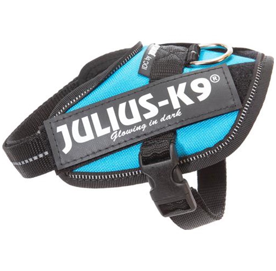 Hunde - Julius-K9 IDC-harness Baby 2 Aquamarine - H645502