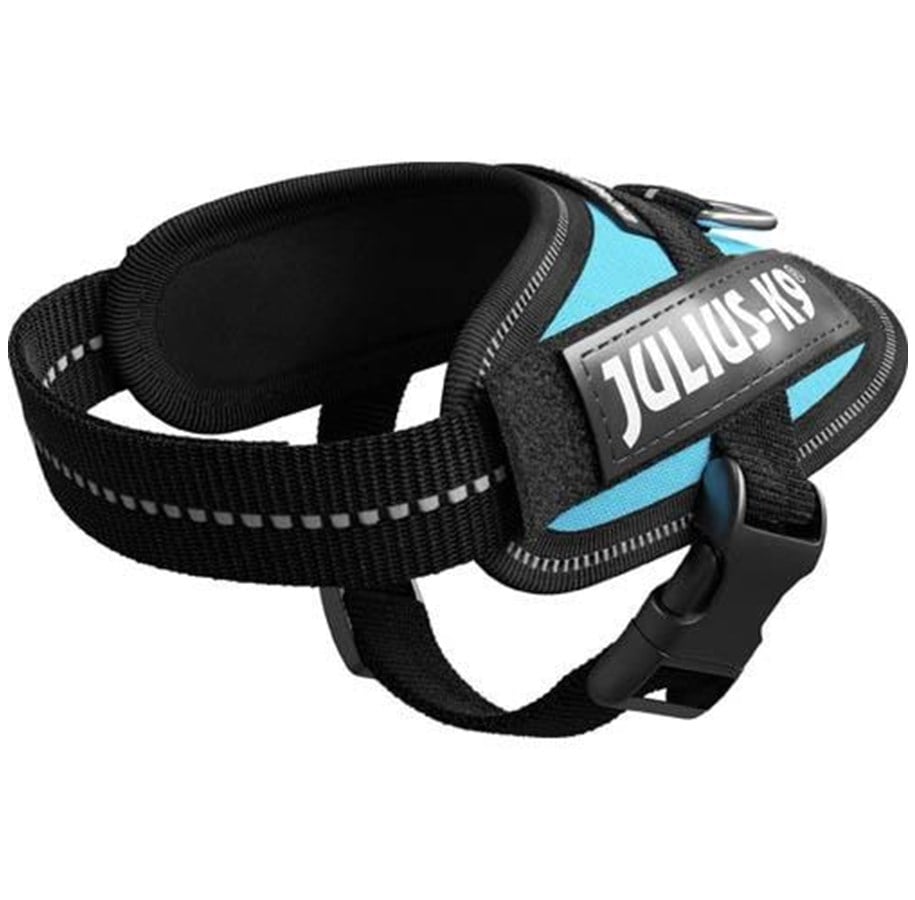 Hunde - Julius-K9 IDC-harness Baby 1 Aquamarine - H645496