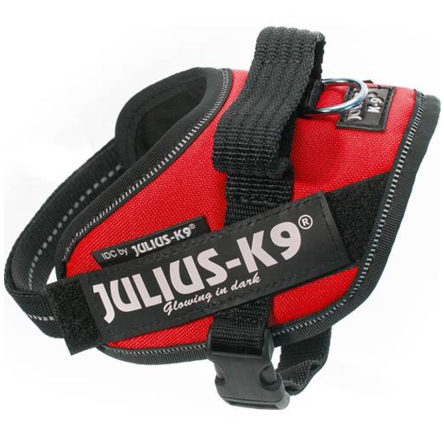 Hunde - Julius-K9 IDC-harness Mini-Mini red 40-53 cm - H616236
