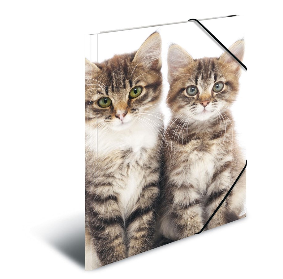 Mappen und Clipboards - HERMA Elasticated folder A3 PP Cats - 7143