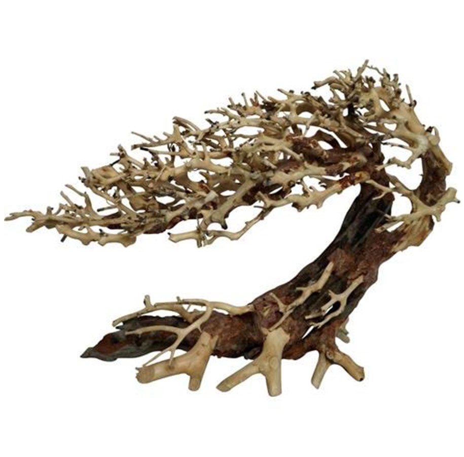 Fische - 4FISH Tree roots Elegant Brazilian tree 23x10x17 - AT1028