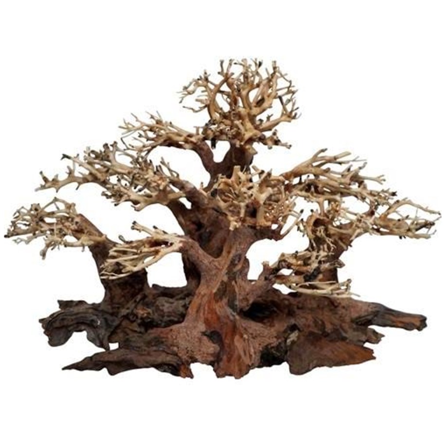 Fische - 4FISH Tree roots Mini forest 40x20x25 cm - AT1037