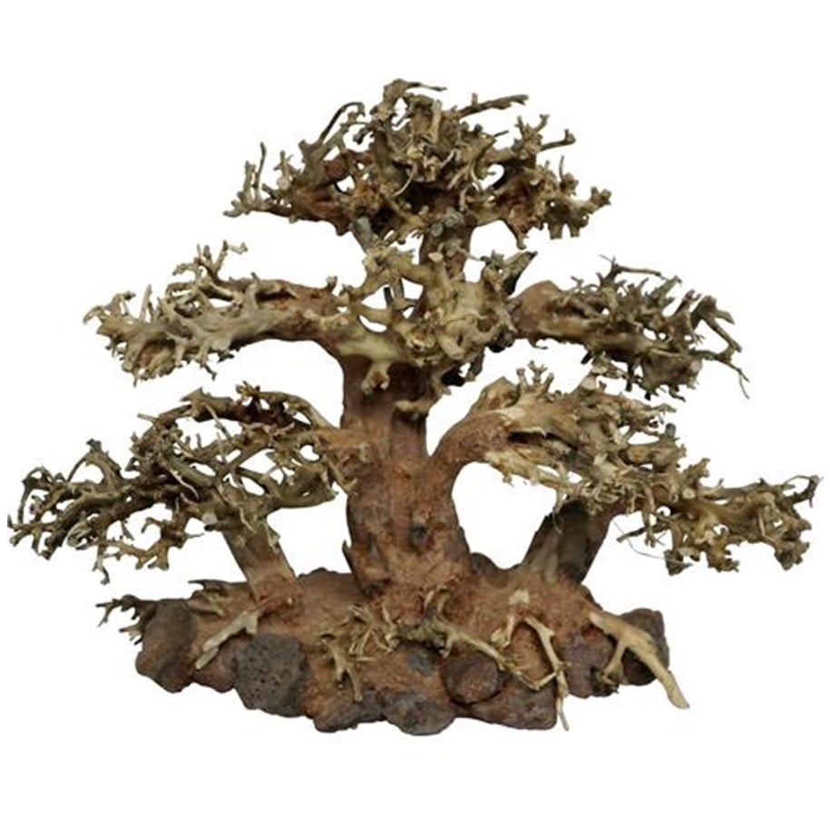 Fische - 4FISH Tree roots Tree Island 20x10x15 cm - AT1042