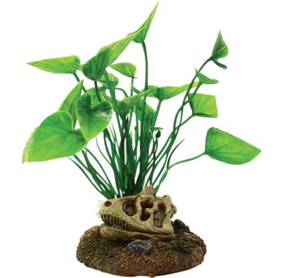 Fische - 4FISH Skull and plants 6.5x6.3x12 cm - AT47382