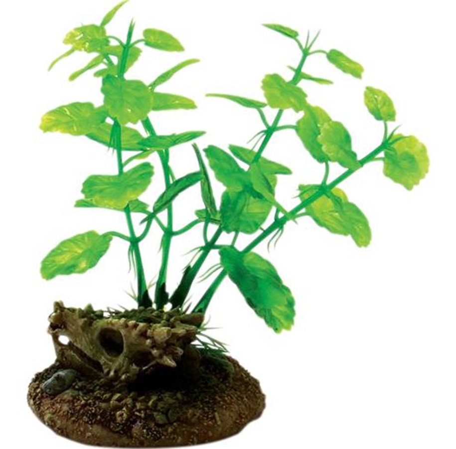 Fische - 4FISH Skull and plants 6.5x6.3x11 cm - AT47384