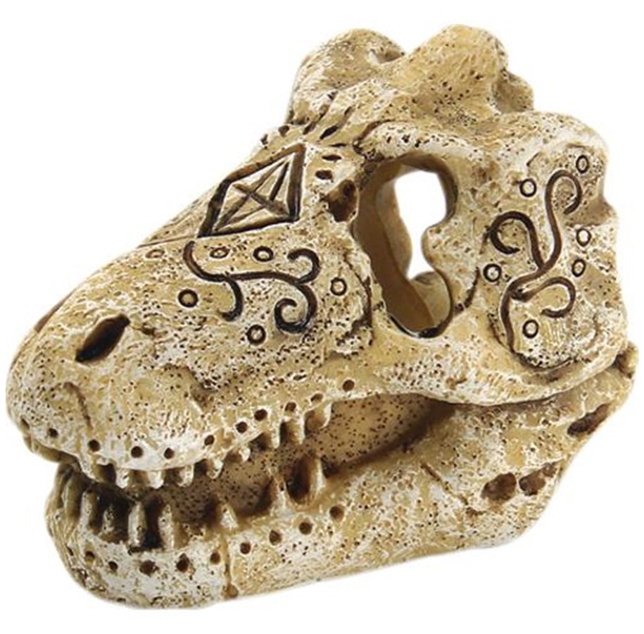 Fische - 4FISH Skull 7.8x5.3x5.7 cm - AT47388
