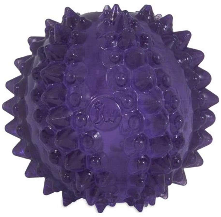Hunde - JW Bristl-ee Cactus Ball - H606366