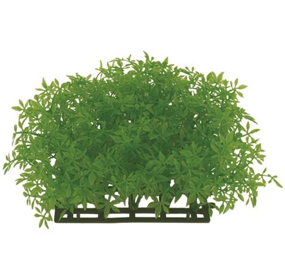 Fische - Meadow Plastic grass mat 15 x 15 cm - AT7101
