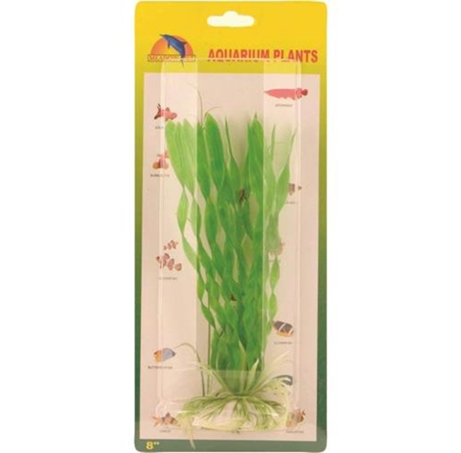 Fische - Meadow Vallisneria spiralis plastic 20 cm - AT8001