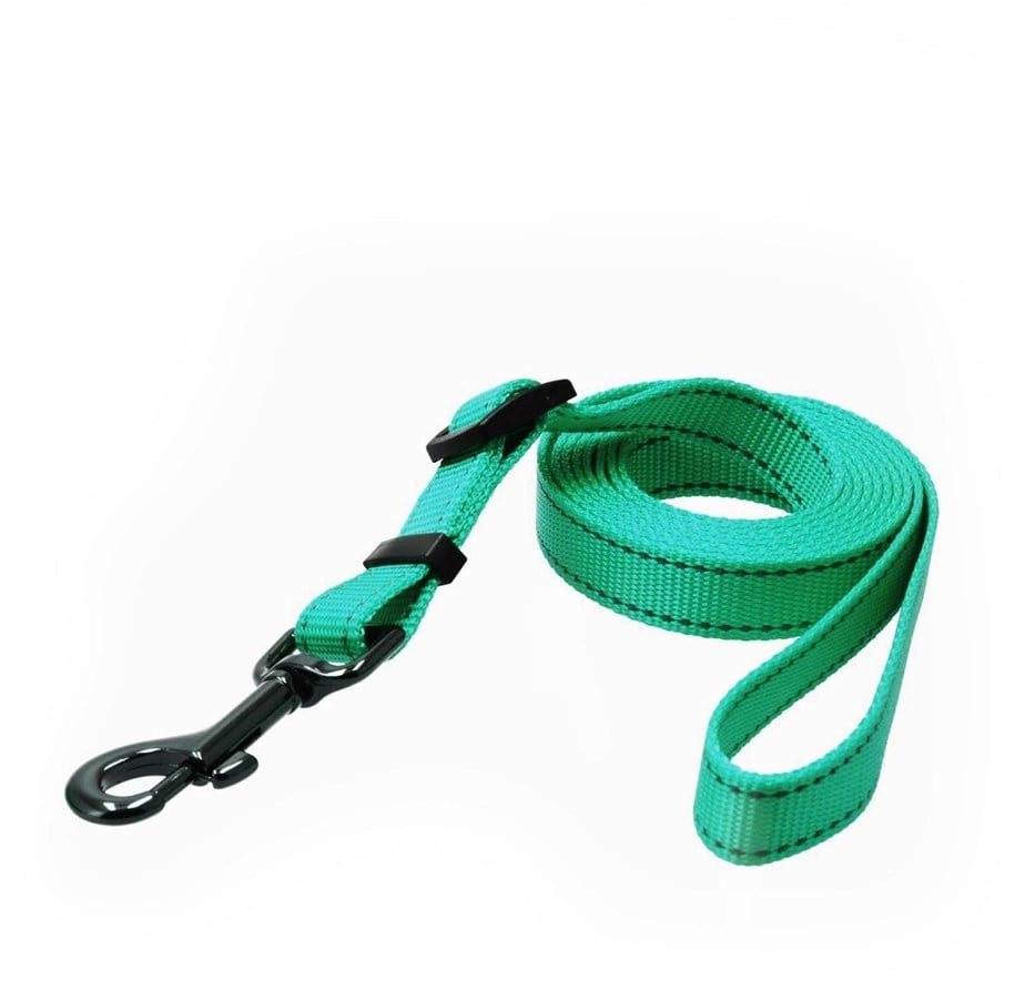 Hunde - Dogman Iris Verstellbare Nylon Hundeleine Cyan Klein 10mm 120-200cm - 223012