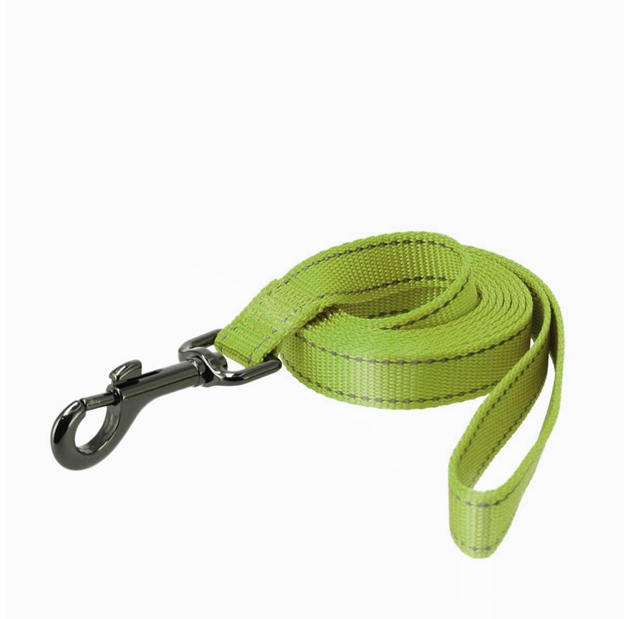 Hunde - Dogman Reflective Nylon Dog Leash Iris Green L 25mm 180cm - 223107