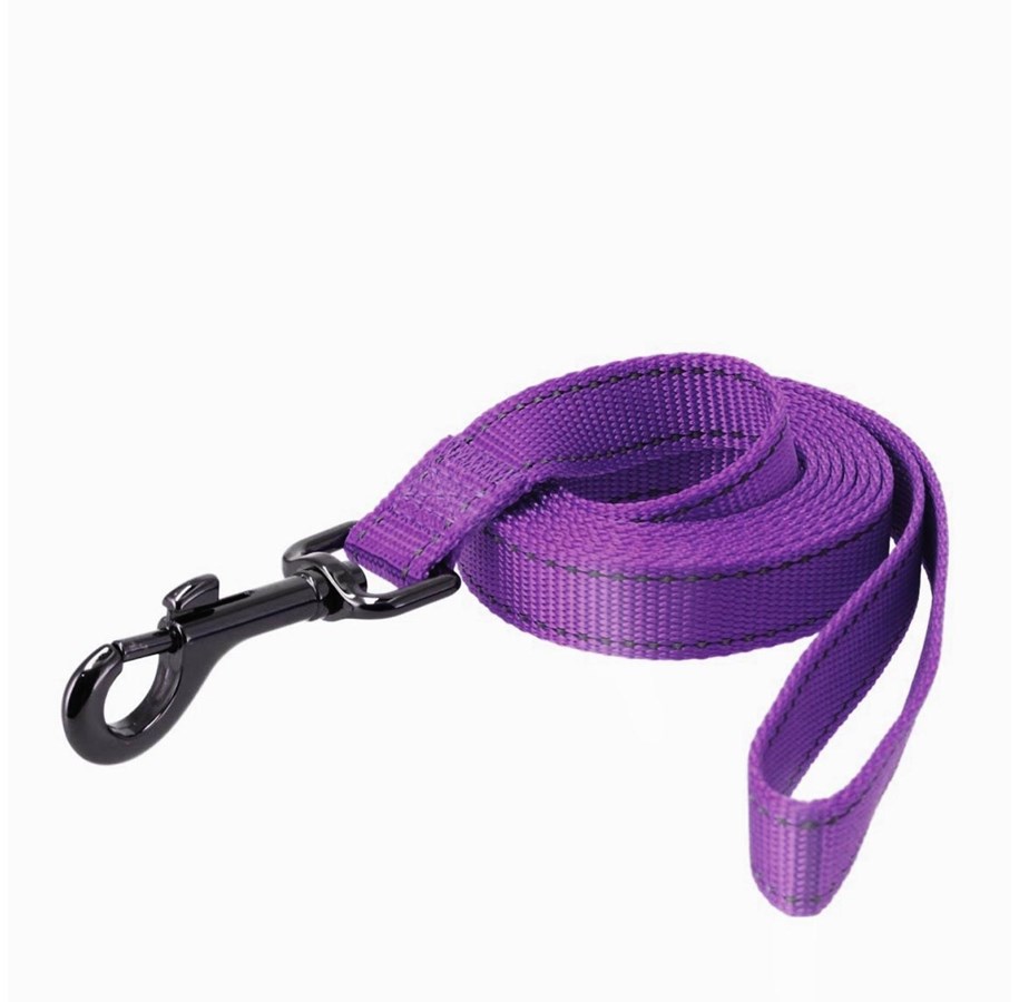 Hunde - Dogman Nylon leash Iris - 223108