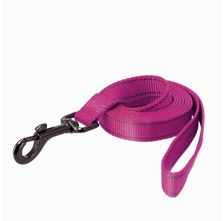 Hunde - Dogman Nylon leash Iris - 223118