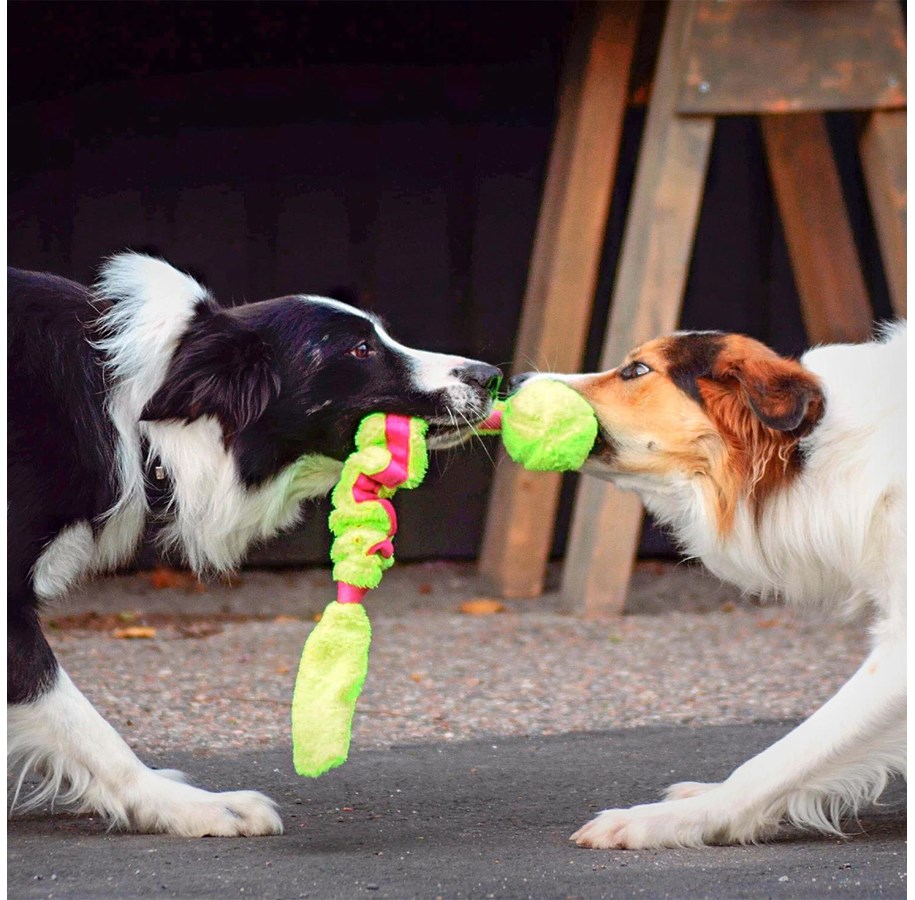 Hunde - Dogman Hundespielzeug Stretch-Plüschband mit Ball 35cm - 325007