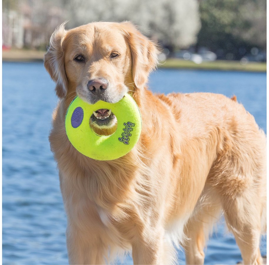 Hunde - KONG Hundespielzeug AirDog Donut Medium 12cm - 340531