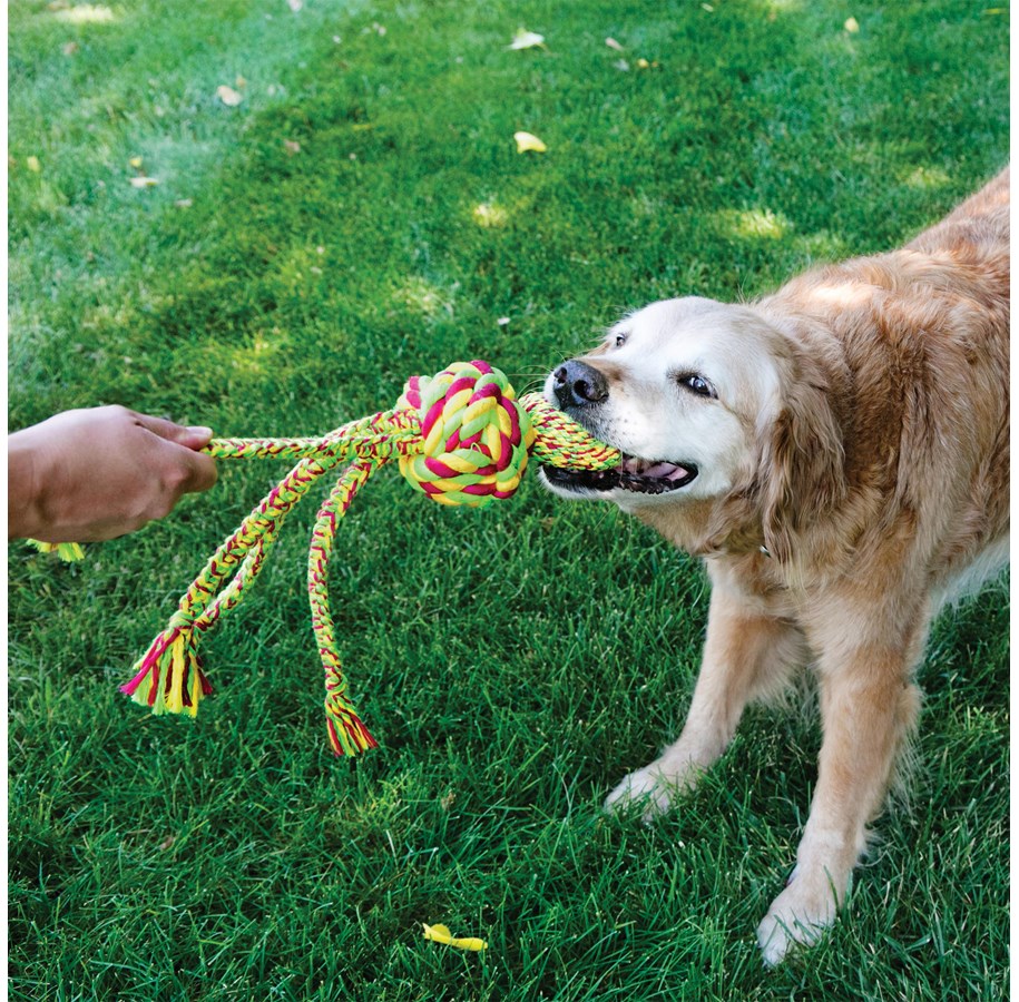 Hunde - KONG Hundespielzeug Wubba Weaves mit Seil Verschiedene Farben - 340841