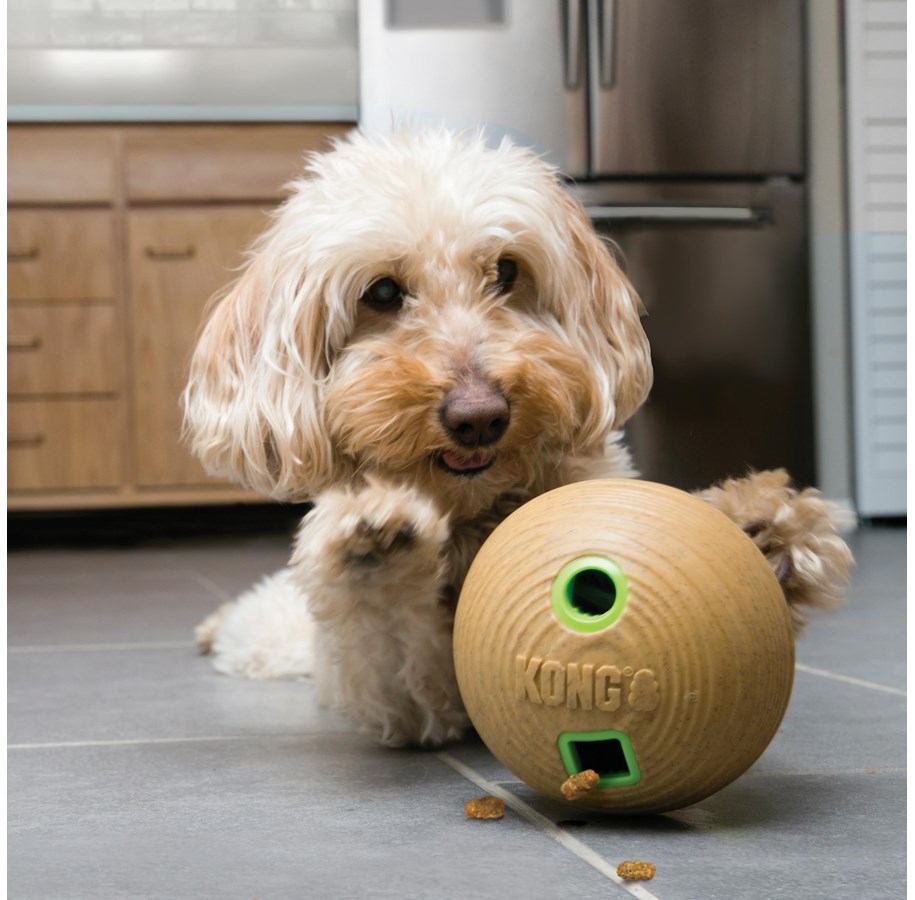 Hunde - KONG Hundespielzeug Bambus Futterball Leckerli-Spender 12cm - 340924