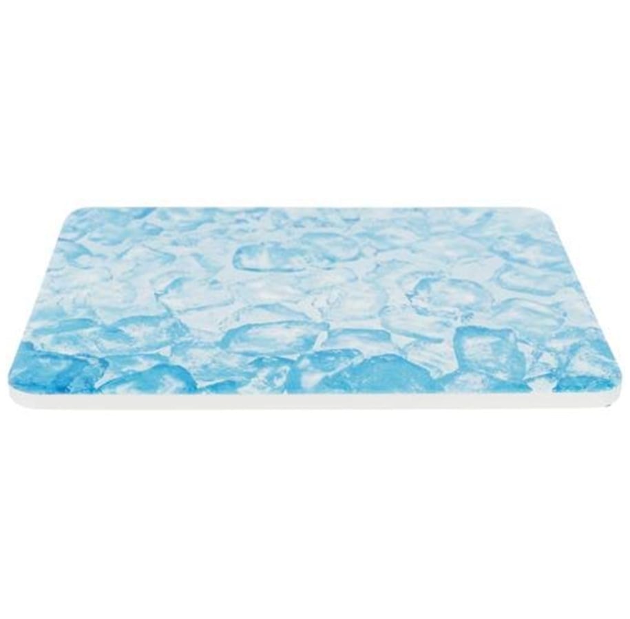Nagetiere - Trixie Cooling Plate 20x15 cm blue - TX63011