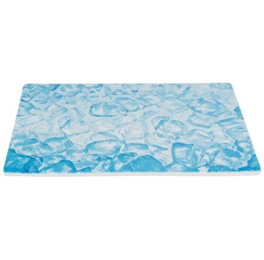 Nagetiere - Trixie Cooling Plate 35x25 cm blue - TX63012
