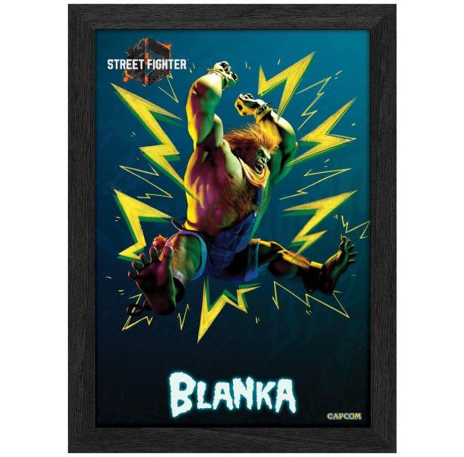 Merchandise - Pixel Frames - PLAX Street Fighter 6: Blanka - Bild - 849172015333