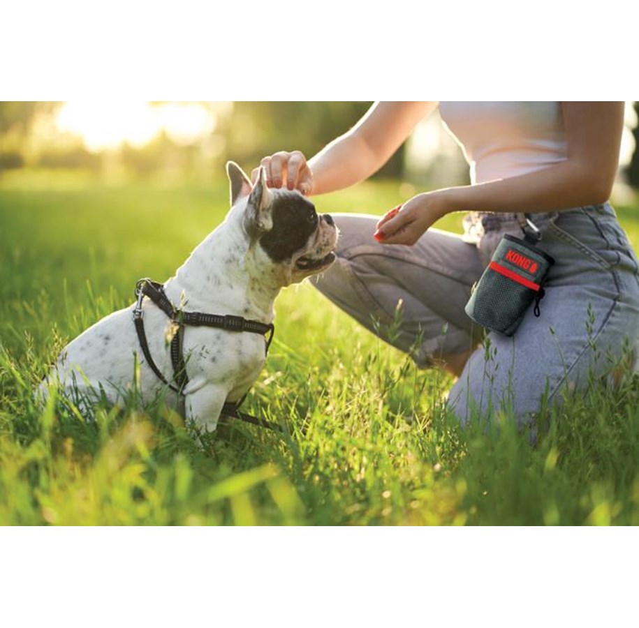 Hunde - KONG - Treat Bag 13.5 x12.5cm - (9842) - KONG9842