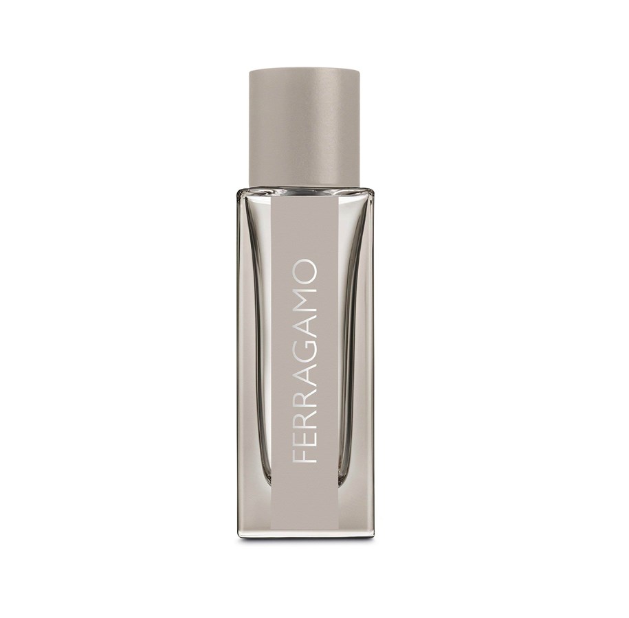 Parfüm und Düfte - Salvatore Ferragamo Bright Leather EDT - 30 ml0 - 8052464891689