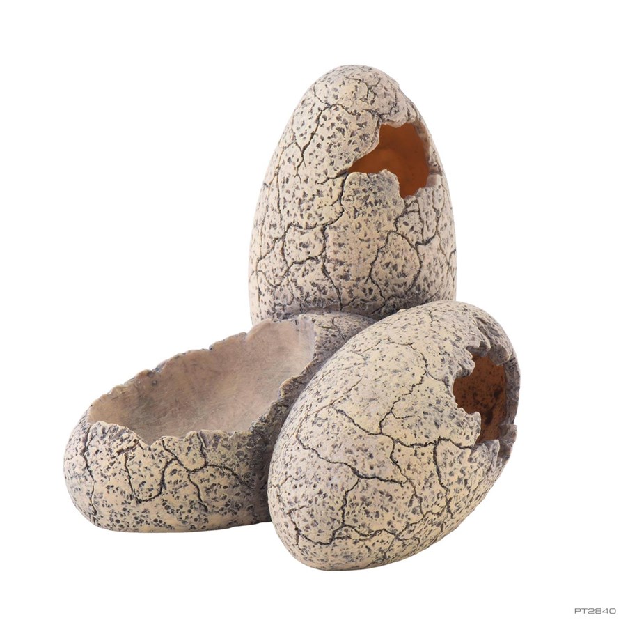 Habitat décor - EXO TERRA Dinosaur æg S - HPT2840