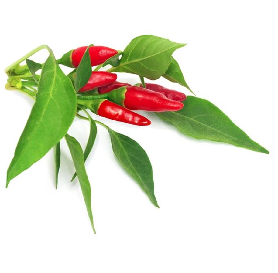 Smart-Home - Click & Grow - Smart Garden Refill 3-pack Piri Piri - SGR67X3