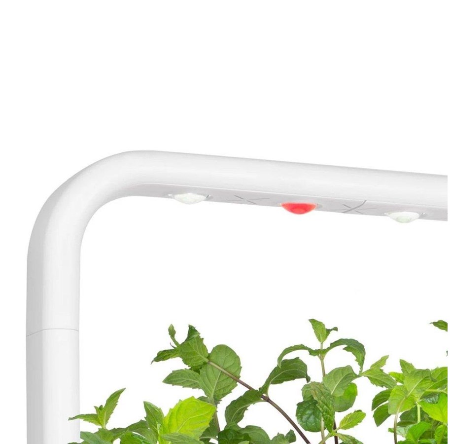 Smart-Home - Click & Grow Click and Grow - Spare Grow Lamp for Smart Garden 9 - SGAL9UNI