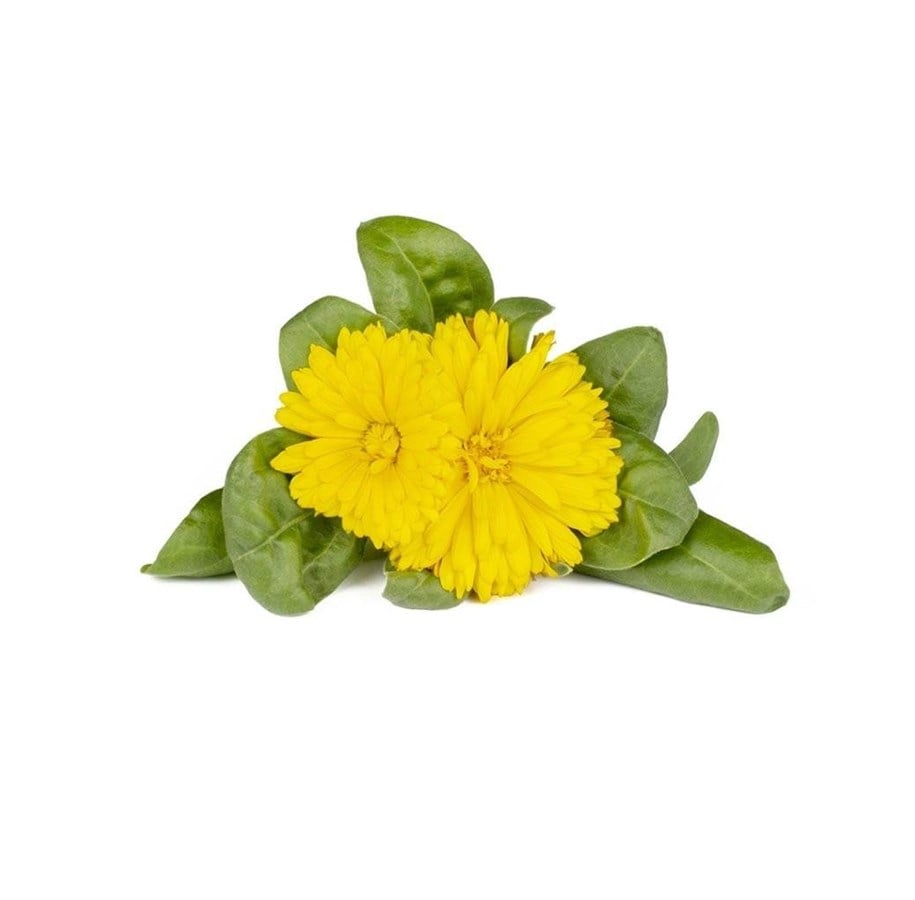 Smart-Home - Click & Grow Click and Grow Smart Garden Refill 3-pack - Calendula - SGR88X3