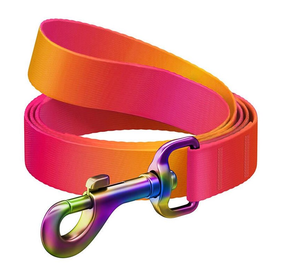 Hunde - Waudog Gradient Nylon Dog Leash Orange 15mm Wide 122cm Long - 46624