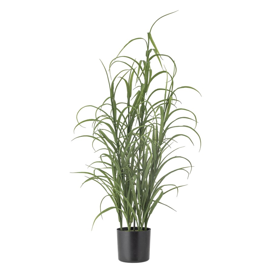 Einrichtung - Bloomingville Grass - 82061503