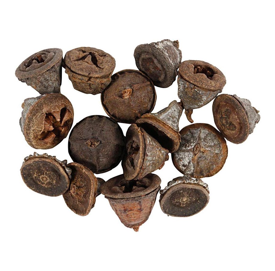 Kunst & Handwerk Ausstattung - Creativ Company - Larch cones 25 grams - 50251