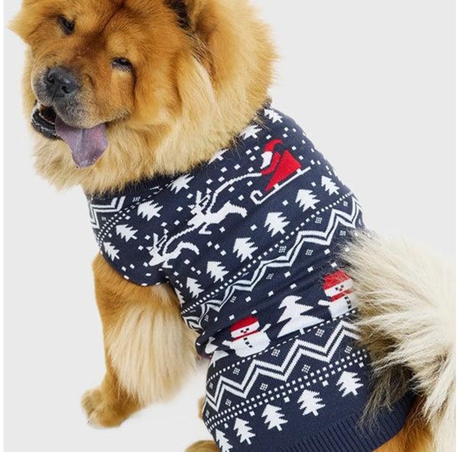 Weihnachtspullover - Jule-Sweaters - Den stilede hundejulesweater - 4XL - 5740009930926