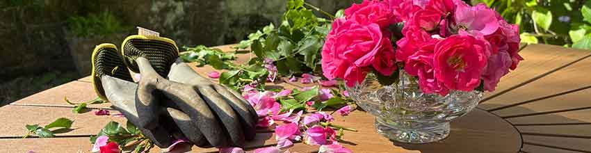 Gartenhandschuhe und eine Gartenschere liegen draußen auf einem runden Holztisch neben einer Vase mit rosafarbenen Blumen.