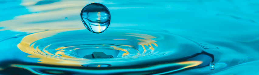 Grohe - Wie man in der Toilette Wasser spart