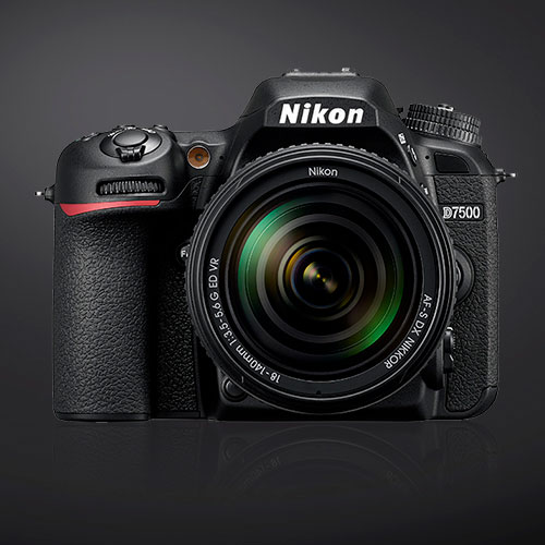 Nikon DSLR Kameras