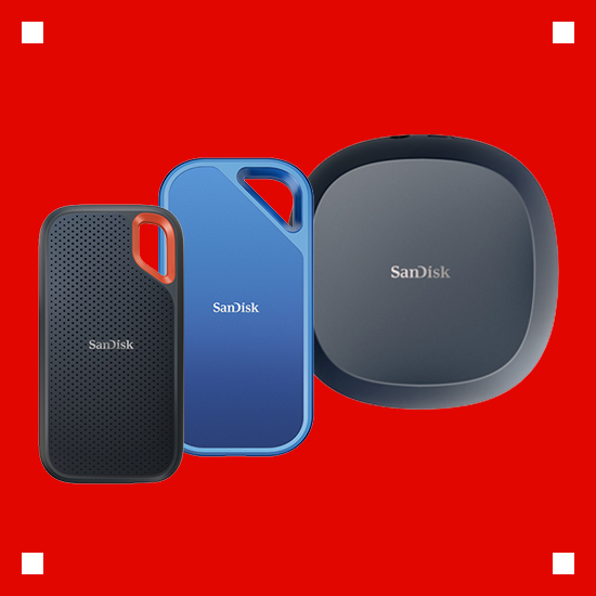 Solid State Drives (SSDs)