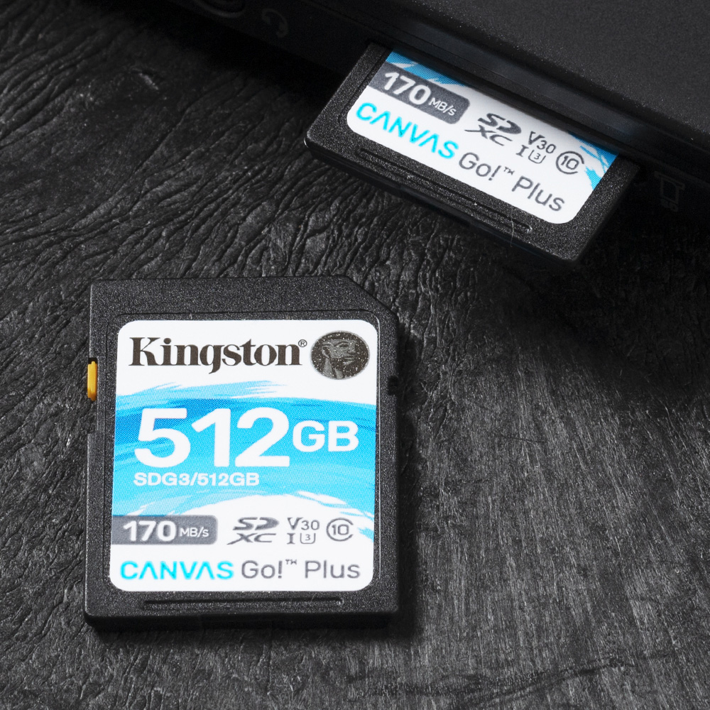 Kingston Canvas Go Plus